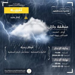 شرطة جازان: اتخاذ الإجراءات النظامية بحق 8 أشخاص تورطوا في الاعتداء على عدد من المركبات برمي الحجارة عليها