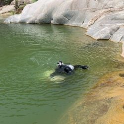 مطار الملك عبدالله بجازان يستقبل رحلاته الداخلية بعد استئناف تشغيل الرحلات..