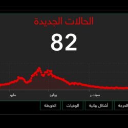 وثائق قضائية دولية تثبت: تركيا تجند “دبلوماسييها” للتجسس على منتقدي أردوغان في العالم