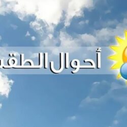 ” فرز الوحدات العقارية ” ورشة عمل بغرفة جازان