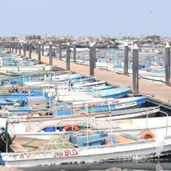 الجزائر تدين الاعتداءات الخطيرة التي تعرّض لها الفلسطينيون في المسجد الأقصى