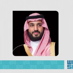 العلاقات السعودية الإندونيسية.. تطورٌ ونموٌ في مختلف المجالات