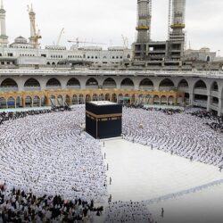 جامعة نجران تنجح في استخلاص مادة حافظة طبيعية من قشور الحمضيات