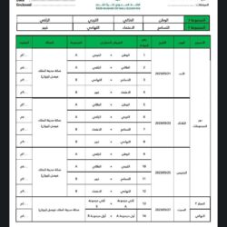 المركز الوطني للأرصاد : أمطار خفيفة إلى متوسطة على جازان