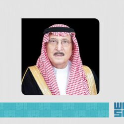 فرع البيئة بجازان يقف على استعدادات أسواق النفع العام ومسالخ منطقة جازان لعيد الأضحى