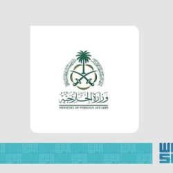 النائب العام يصدر أمراً بالقبض على متحرش بطفل عبر وسائل التواصل الاجتماعي