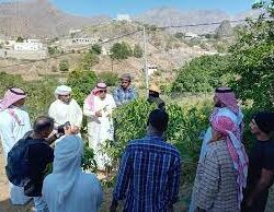 جامعة جازان ضمن أفضل 10 جامعات في مؤشر الأداء الرياضي للجامعات السعودية