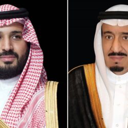 بمبادرة سعودية… 24 نوفمبر يوماً عالمياً للتوائم الملتصقة