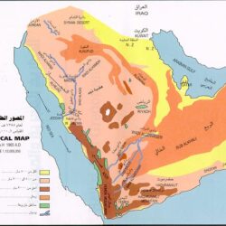 أمير منطقة جازان يتسلّم تقرير الأداء للخطوط السعودية بالمنطقة لعام 2024