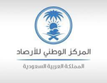 الأرصاد”: رياح شديدة وسحب رعدية ممطرة على منطقة جازان